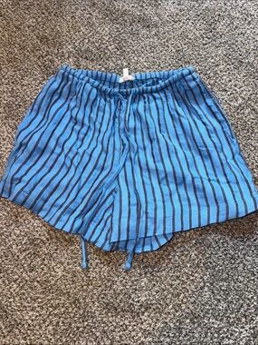 Aerie Blue Striped Drawstring Shorts